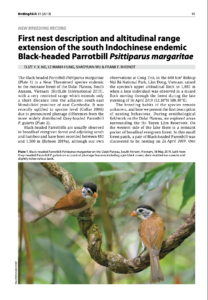 Black-headed-Parrotbill