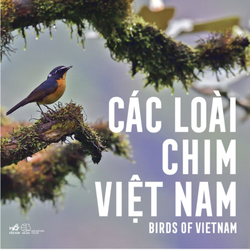 Các loài chim ở Việt Nam