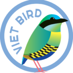 Viet Bird logo